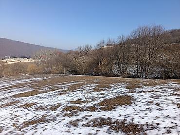 Torpaq sahələrinin satışı: 100 sot, Mülkiyyətçi, Bələdiyyə — 1