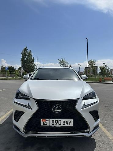 zimmer e9 pro: Lexus NX: 2020 г., 2.5 л, Вариатор, Гибрид, Кроссовер — 4