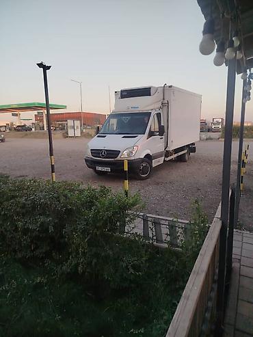 Малина: Малина Платная доставка — 23