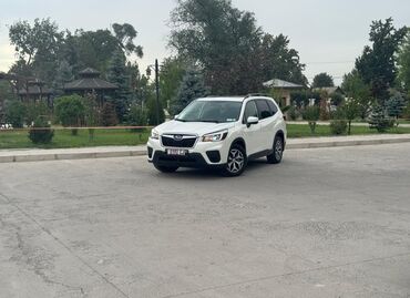 семиместные машины: Белый внедорожник Subaru Forester представляет собой универсальное