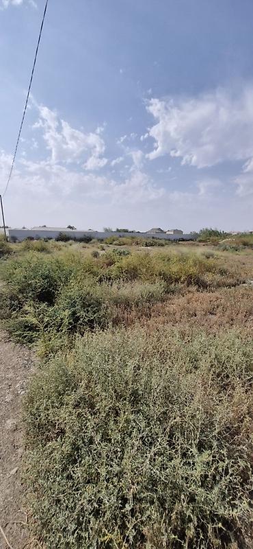 Torpaq sahələrinin satışı: Tikinti -da lalafo.az — 3 Torpaq sahələrinin satışı: Tikinti — 3