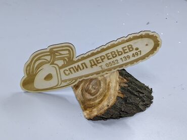 Спил деревьев, заготовка дров: Пилью деревья Профессионально оперативно быстро спил любой сложности — 9