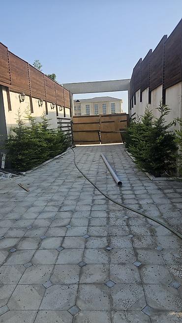 ləpə qiyməti: Qala Zirə yolunun üstündə 8 sotda möhtəşəm restorant icarəyə verilir — 2
