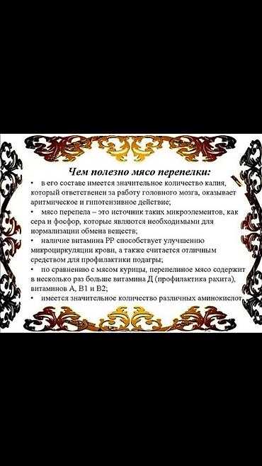 А/ч жаныбарлары үчүн тоюттар: Продаю яйца инкубационные перепелиные. суточные перепелята по 23 — 3