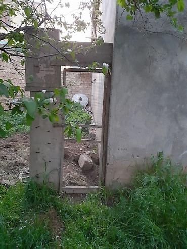 kənd: 8 sot, Kənd təsərrüfatı, Kupça (Çıxarış) — 3