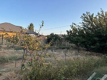 Torpaq: 8 sot, Tikinti, Mülkiyyətçi, Kupça (Çıxarış) — 9