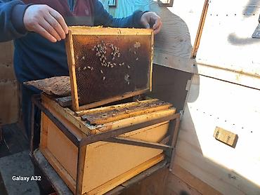 Прицепы и полуприцепы: Прицеп, Special trailer — 4