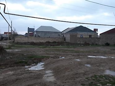 Torpaq sahələrinin satışı: 6 sot, Makler — 2