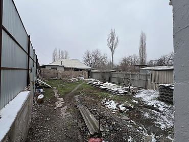 Продажа участков: 5 соток, Красная книга — 16