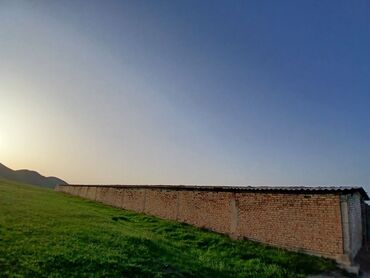 Сельхоз предприятия: Продаю Кошара, 50 соток, Действующий, Без оборудования, Электричество — 25