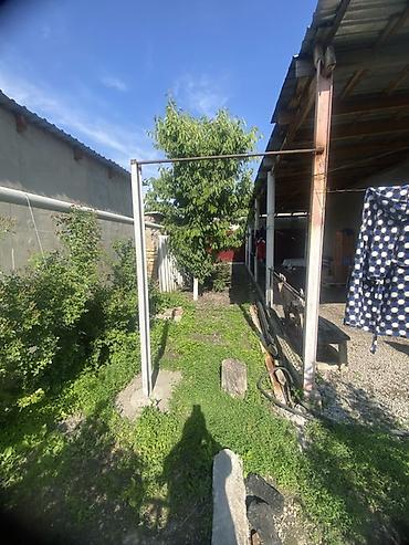 Продажа коттеджей и домов: Продаётся дом с участком. Основные особенности: - Ограждённый двор с — 5