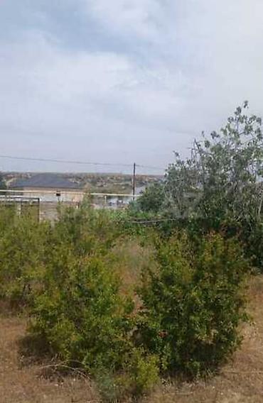 see breeze: 12 sot, Kupça (Çıxarış), Texniki pasport — 6