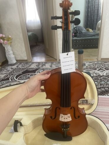 Gitaralar: Skripka dəsti - Tam ölçü klassik skripka (4/4 ölçüyə bənzər). Parlaq