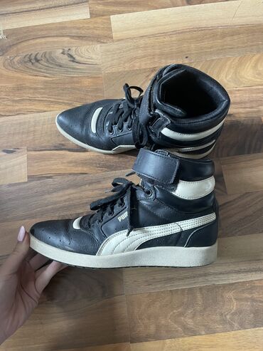 drzac za stranice knjige: Puma, 38, color - White