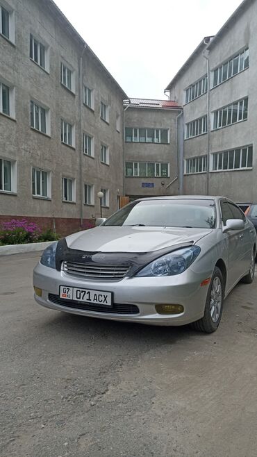 тайота 330: Toyota Windom: 2003 г., 3 л, Автомат, Газ, Седан