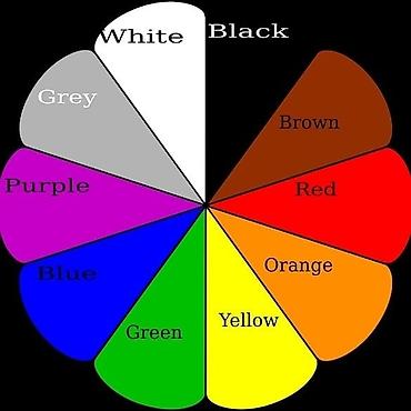 Языковые курсы: Языковые курсы Английский Для детей at lalafo.kg — 5 Языковые курсы: Языковые курсы Английский Для детей — 5