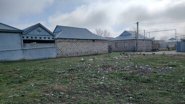 Torpaq sahələrinin satışı: 14 sot, Mülkiyyətçi, Kupça (Çıxarış)