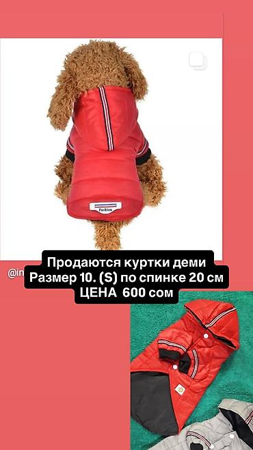 Зоотовары: Одежда для кошек и собак. Все НОВОЕ РАЗМЕР И ЦЕНА УКАЗАНЫ НА ФОТО — 16