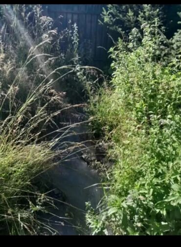 Продажа домов: Дом, 700 м², 5 комнат, Собственник, Евроремонт — 29