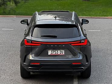 Lexus: Lexus NX: 2023 г., 2.4 л, Автомат, Бензин, Кроссовер — 9