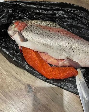 toyuq dos əti: Süfrənizə təbiətin dadını gətirin! 🐟✨Həm sağlam, həm də inanılmaz — 3