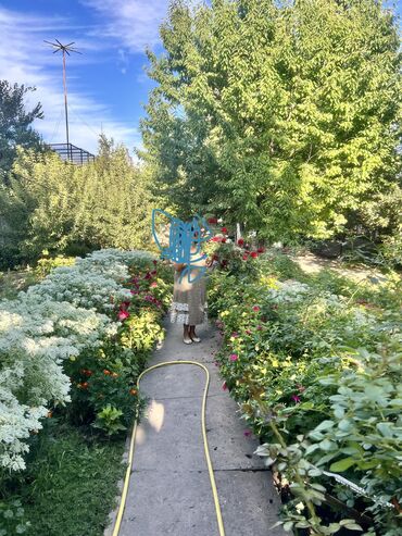 Продажа домов: Дом, 95 м², 4 комнаты, Собственник, Старый ремонт at lalafo.kg — 12 Продажа домов: Дом, 95 м², 4 комнаты, Собственник, Старый ремонт — 12