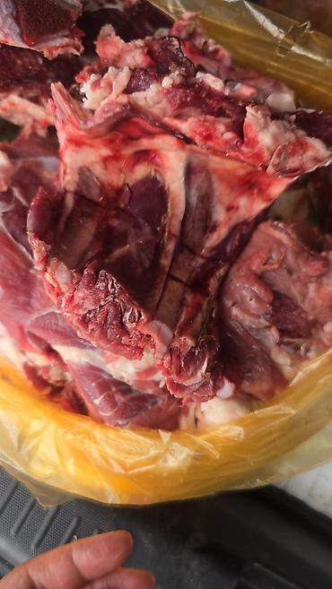 кролики мясо: Бесплатная доставка — 6