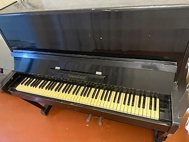 piano elektro: Bu qara rəngli upright piano hər hansı bir ev və ya təlim mühiti üçün — 3