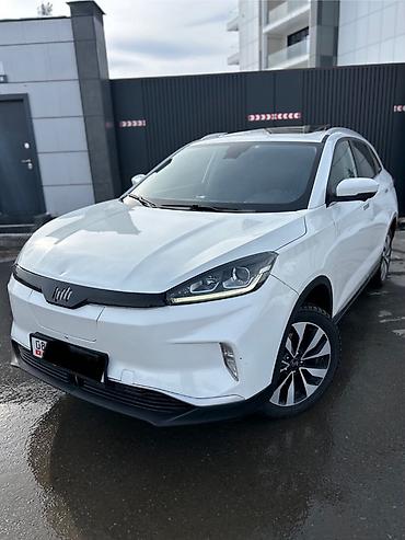 Weltmeister: Weltmeister EX5, 2019 г. — 1