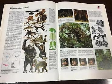 Dečije knjige: Veliki atlas životinja – Mladinska knjiga Ilustrovani enciklopedijski — 6
