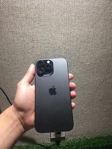 apple magsafe: IPhone 16 Pro Max, 256 GB, Qara, Face ID — 1