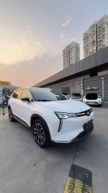 Weltmeister: Weltmeister W6, 2022 г., 40000 км, Передний, На заказ — 12