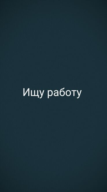 работа для студентов без опыта: Ищу работу