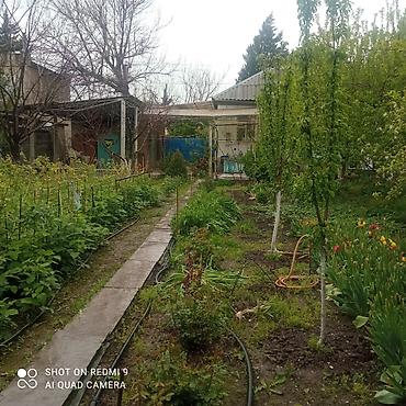 Продажа коттеджей и домов: Продаётся дом, 80 кв. м. 6 комнат, кирпичный, тёплый. Хозпостройки — 6