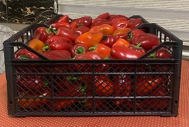 Ящики: Ящик — 13