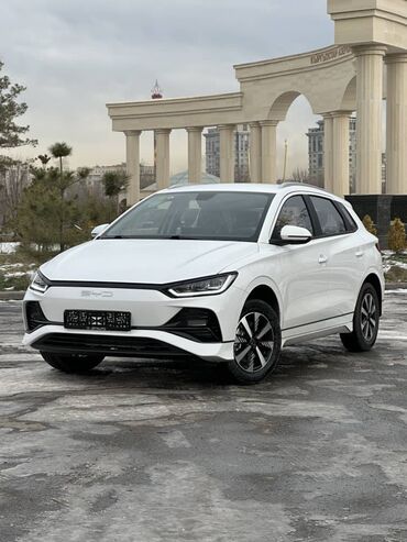 BYD: BYD : 2024 г., 0.1 л, Робот, Электромобиль, Хэтчбэк