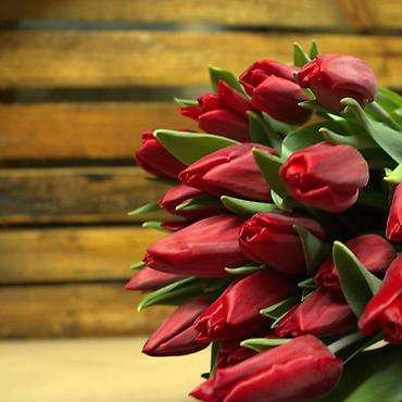 Букеты из живых цветов: Цветы Голландские Тюльпаны Оптом! Тюльпаны вместе с луковицами — 8