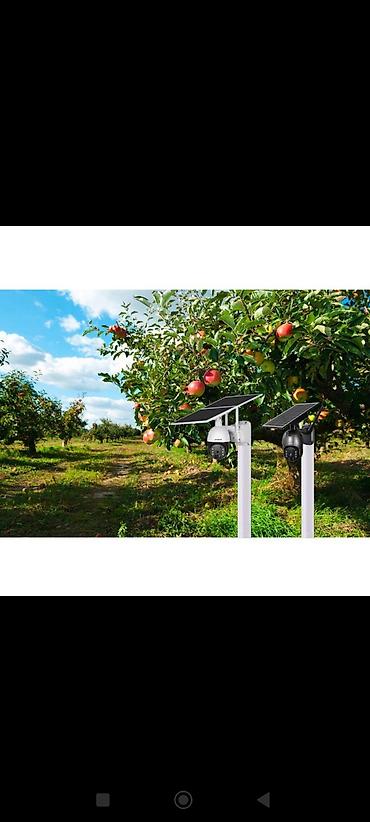 baklar və çənlər: 🌳 Meyvə bağları üçün peşəkar işıqlandırma və təhlükəsizlik sistemləri! — 2
