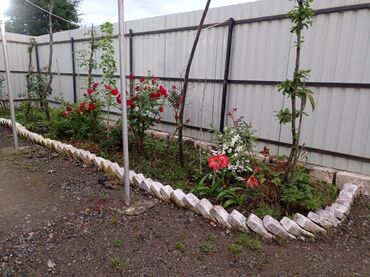 Bağ evlərinin kirayəsi: 40 kv. m, 2 otaqlı, Hovuzsuz, Kanalizasiya, İşıq, Qaz — 19