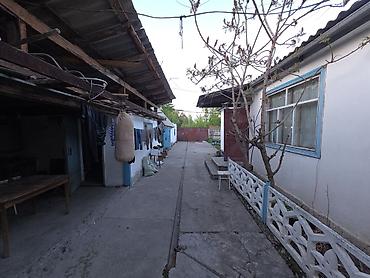 Продажа коттеджей и домов: Срочно!!! Продаётся два больших совмещённых дома из кирпича по цене — 5