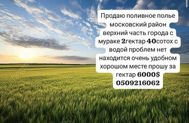 срочно продаю в связи с переездом: 240 соток, Айыл чарба үчүн