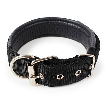 Зоотовары: Продаю шлейки для кошек и собак,поводки/рулетки,лежанки,машинки для — 23