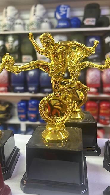 Статуэтки: #Кубки и фигурки-статуэтки для награждения - Материал: золотистый — 5