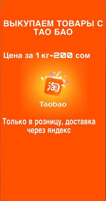 спортивные трусы: Спортивный костюм, Ветровка, Китай, На молнии, 2XS (EU 32)