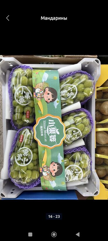 Мандарины: Мандарины Оптом — 6