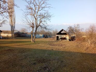 Torpaq sahələrinin satışı: 20 sot, Tikinti, Mülkiyyətçi, Kupça (Çıxarış) — 8