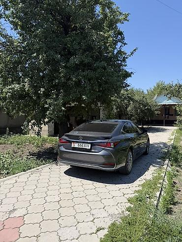 lexus es авто: Lexus ES: 2024 г., Автомат, Седан — 3