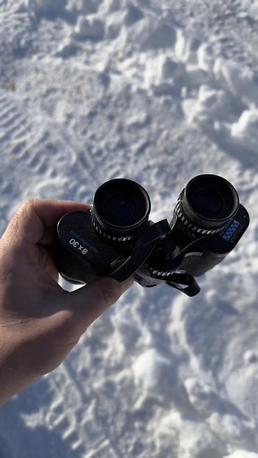 Бинокли: Бинокль HALINA 8×30 + бинокль SLOKEY 10×42 - HALINA 8×30 — 1