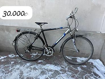 Городские велосипеды: Городской велосипед, Giant, Рама XXL (190 - 210 см), Б/у — 9