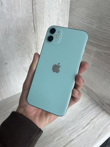 Apple iPhone: IPhone 11, Б/у, 64 ГБ, Зеленый, Защитное стекло, Коробка, 75 %